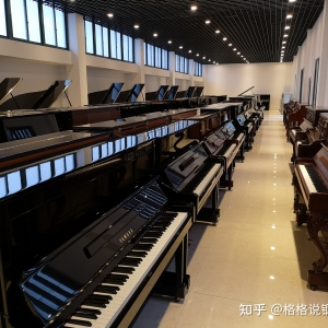 钢琴学习 | 钢琴家-路德维希&#183;凡&#183;贝多芬，被尊称为“交响乐之王 ... ...